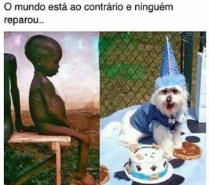 São cenas vistas com frequência